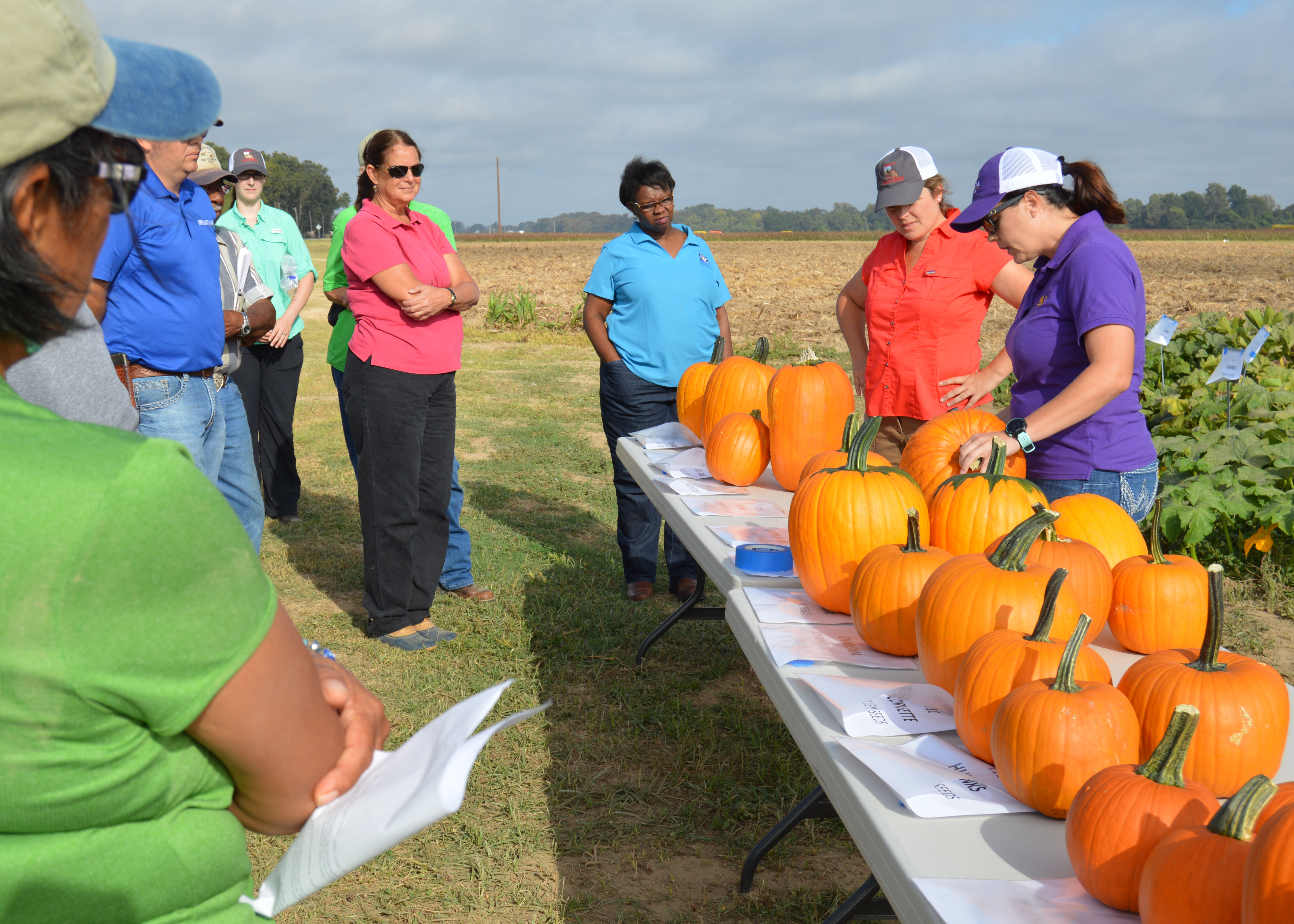 Agritourism business requires risk management 